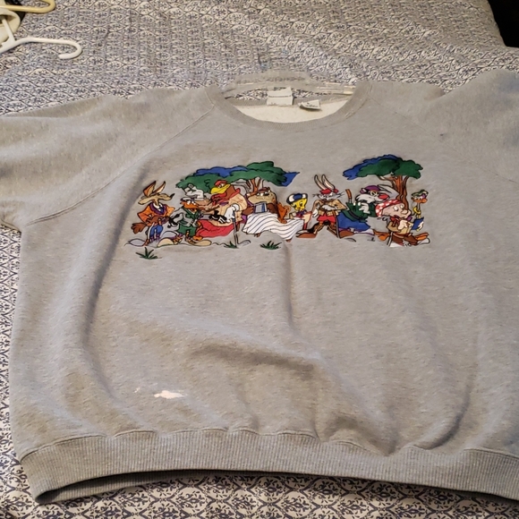 Warner Bros. Other - Sweatshirt, vintage Warner Brothers